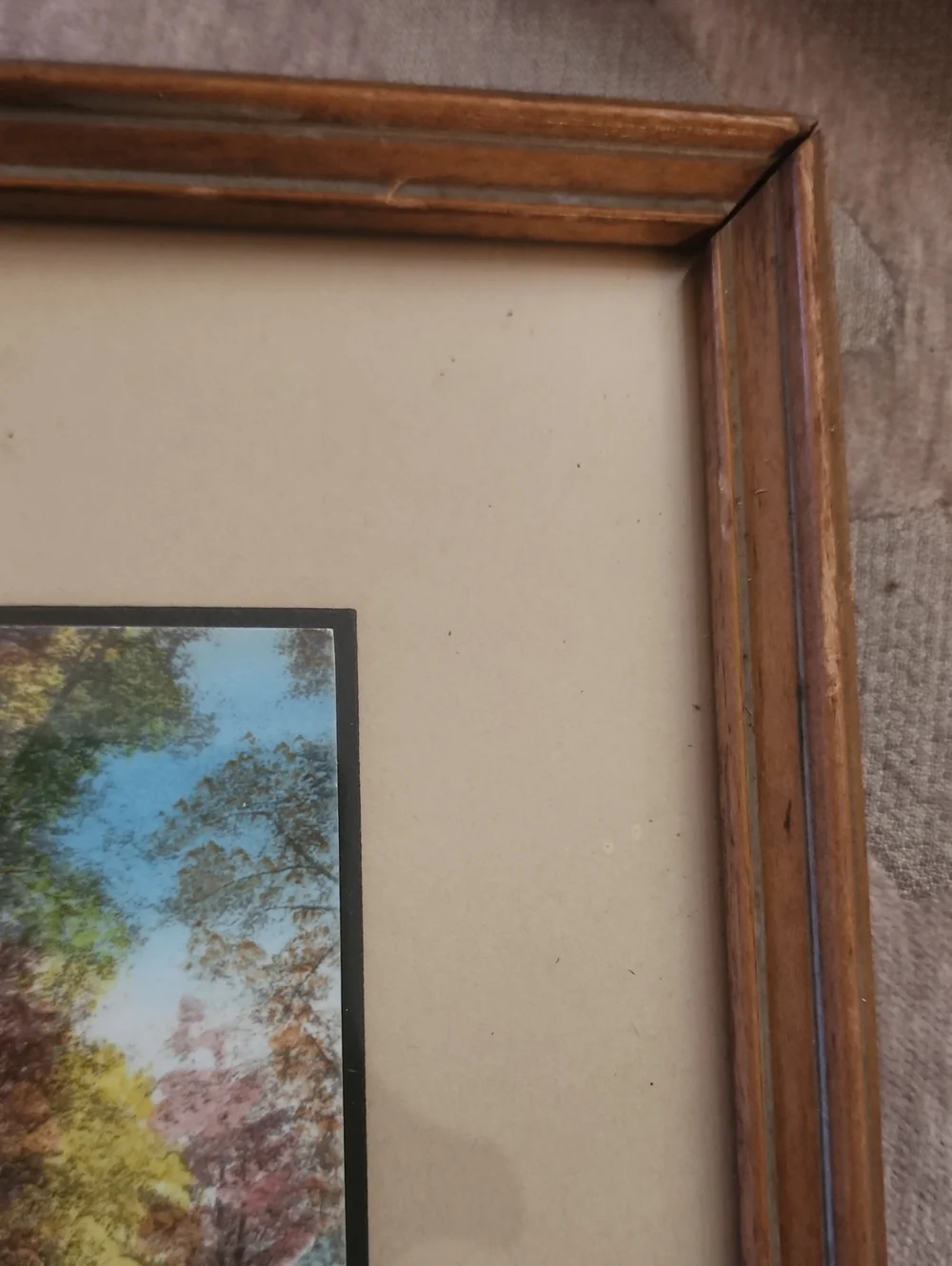 Wallace Nutting Signed, Framed Birch Tree Colorized Photo in Antique Wood Frame